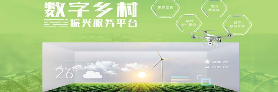 数字乡村